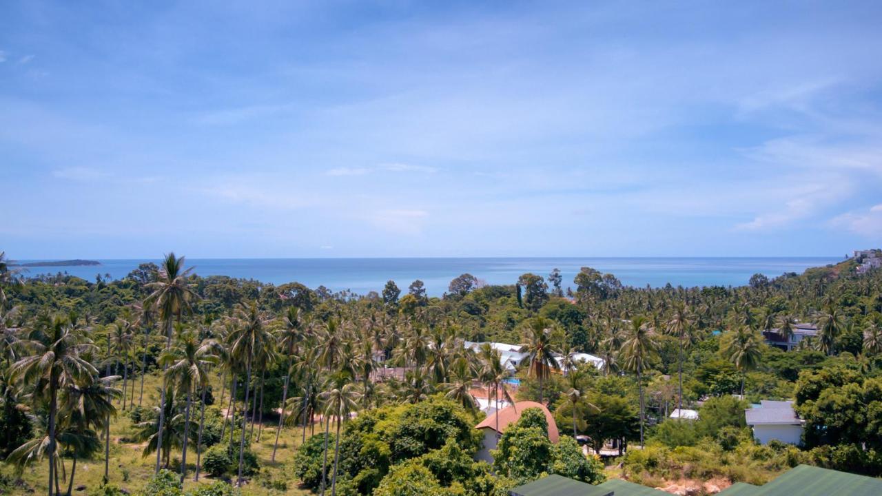Villa Roxanne *
